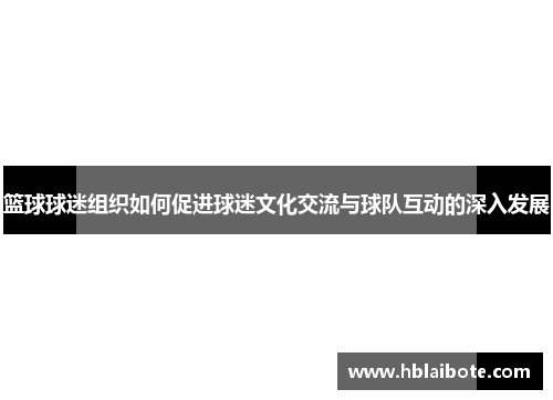 篮球球迷组织如何促进球迷文化交流与球队互动的深入发展
