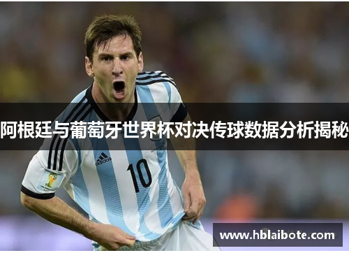 阿根廷与葡萄牙世界杯对决传球数据分析揭秘