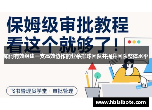 如何有效组建一支高效协作的业余排球团队并提升团队整体水平