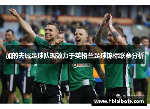 加的夫城足球队现效力于英格兰足球锦标联赛分析 加的夫城足球队现效力于英格兰足球锦标联赛分析